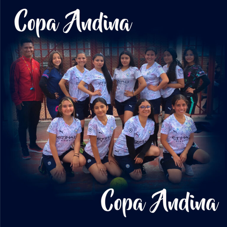 Lee más sobre el artículo Copa Andina